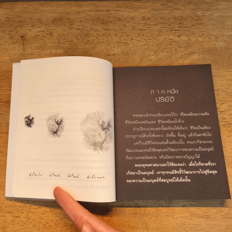 นิพพานระหว่างวัน - ว.วชิรเมธี