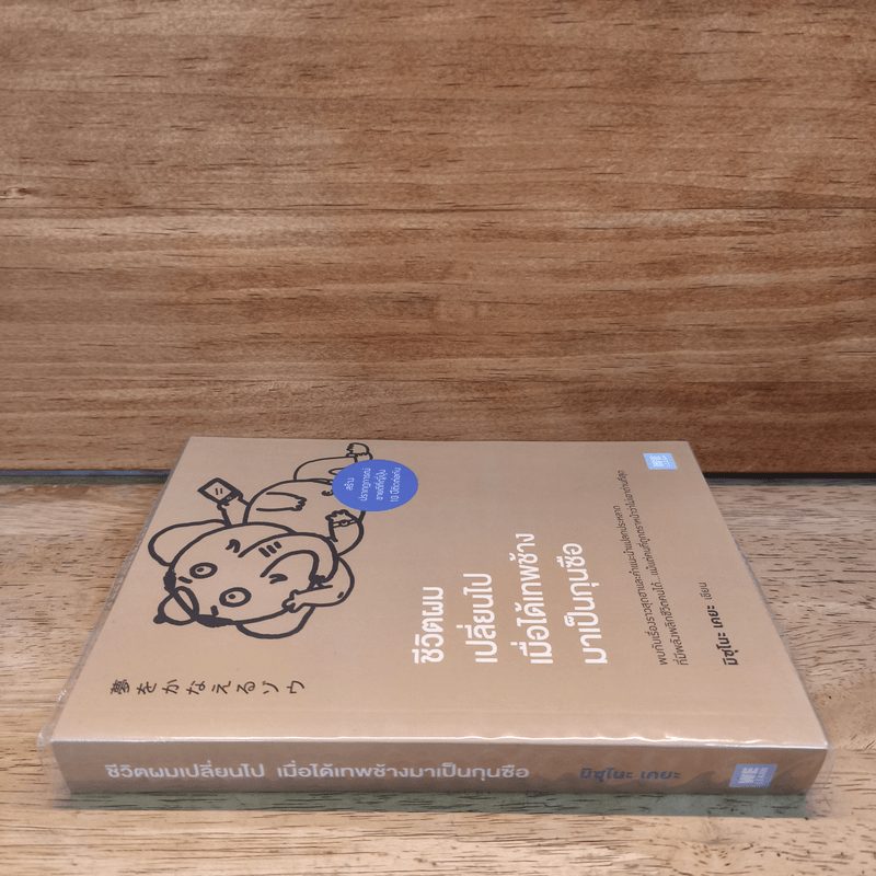 ชีวิตผมเปลี่ยนไปเมื่อได้เทพช้ามาเป็นกุนซือ - มิซุโนะ เคยะ