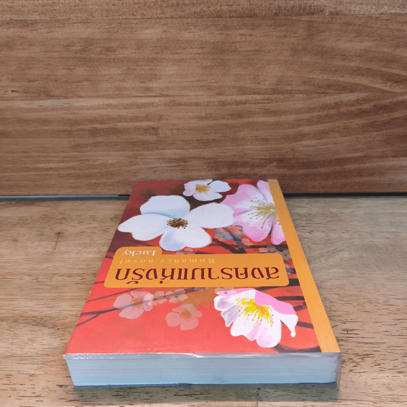 สงครามแห่งรัก - Lucky