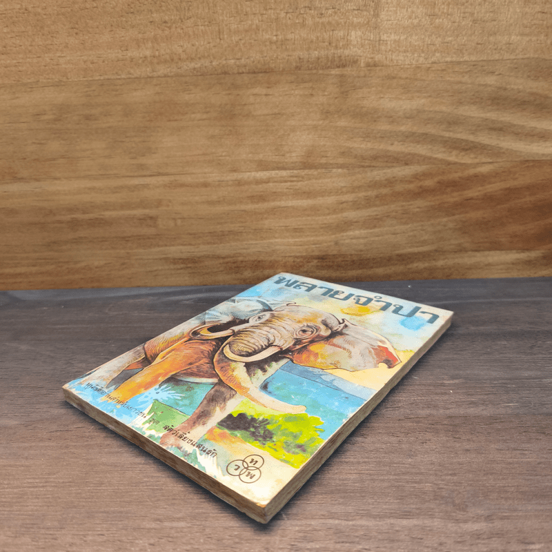 พลายจำปา - ลมุล รัตตากร