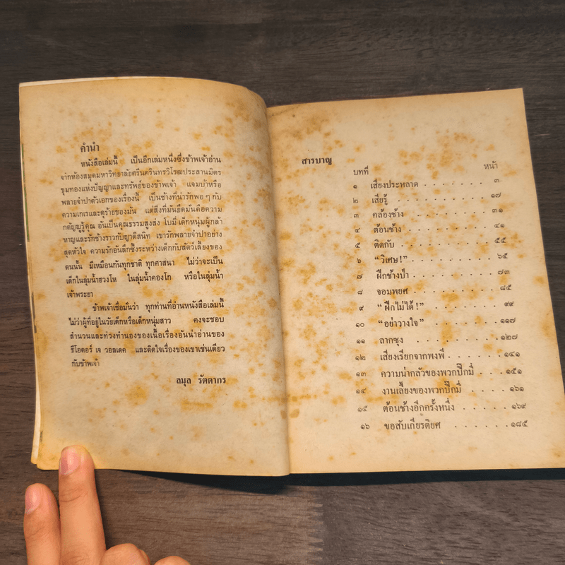 พลายจำปา - ลมุล รัตตากร