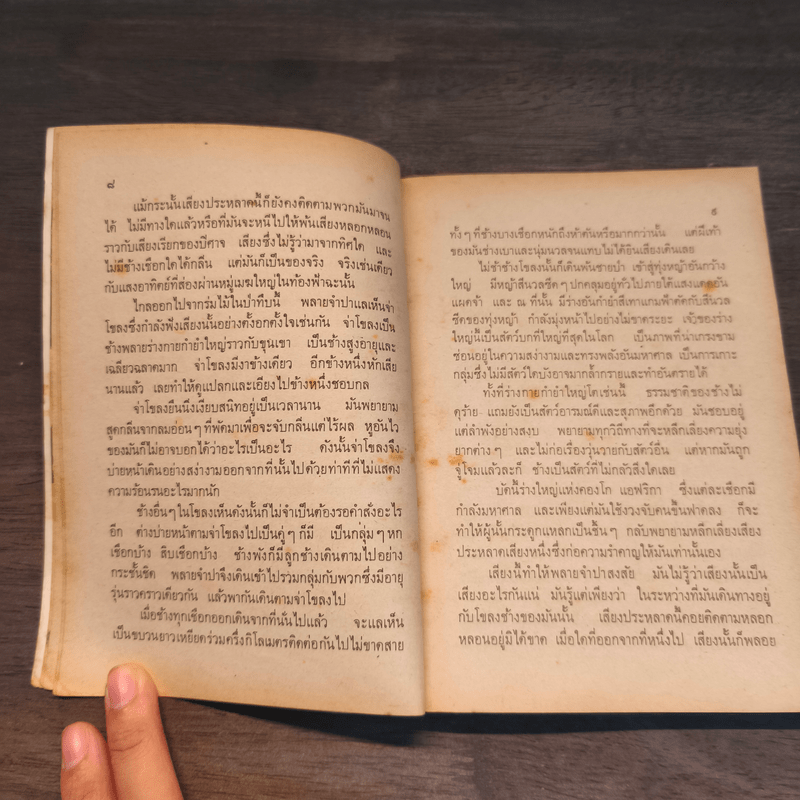 พลายจำปา - ลมุล รัตตากร