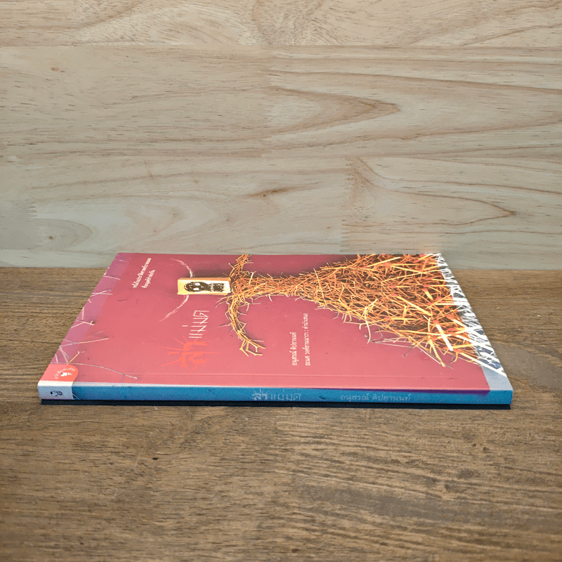 ล่าแม่มด - อนุสรณ์ ติปยานนท์