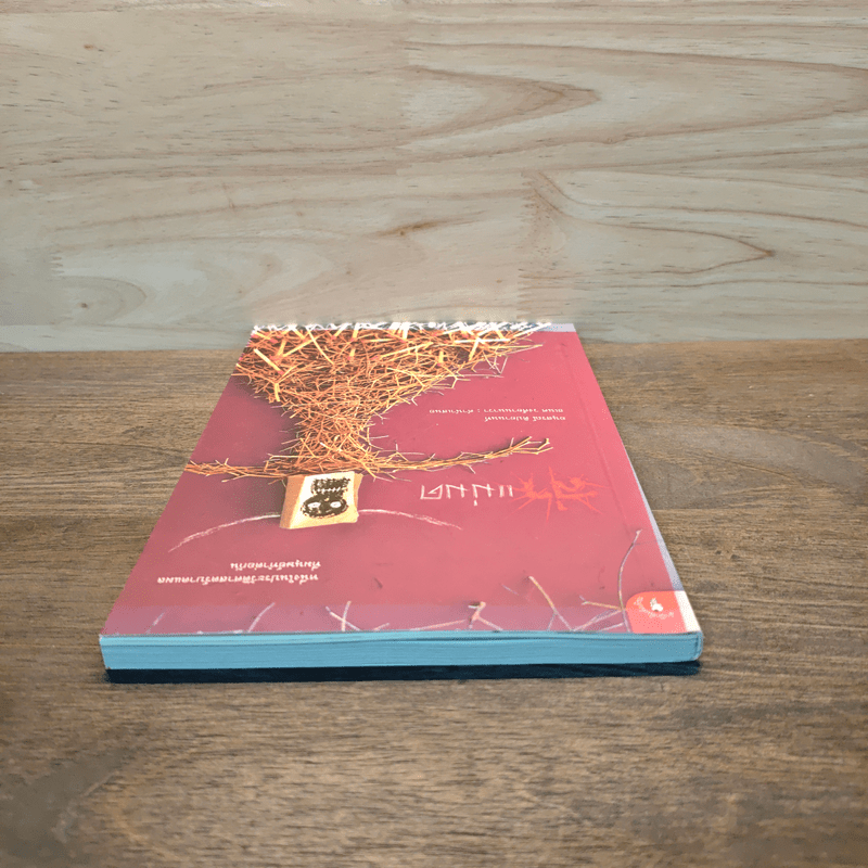 ล่าแม่มด - อนุสรณ์ ติปยานนท์