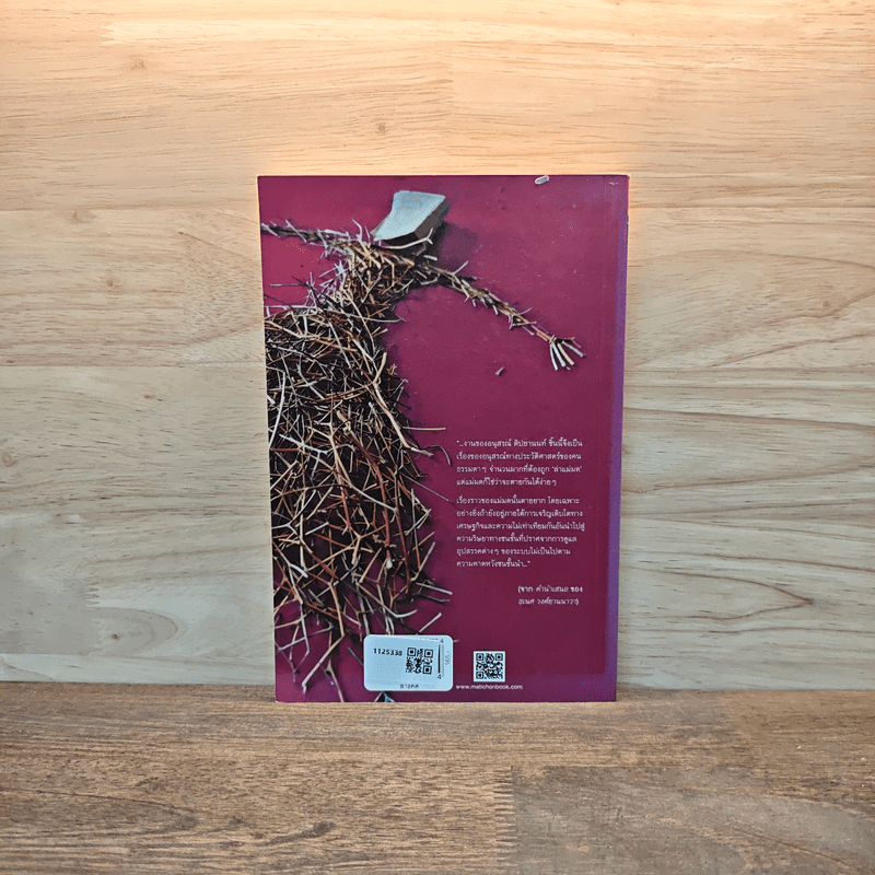 ล่าแม่มด - อนุสรณ์ ติปยานนท์