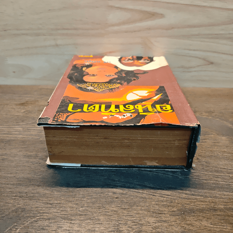 อนิลทิตา เล่ม 1 - ตรี อภิรุม