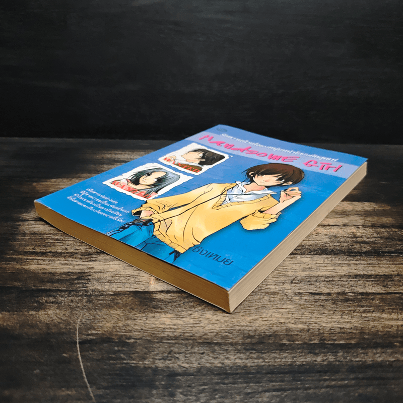 Handsome Girl รักหวานป่วนใจของหนุ่มหน้าใสกับยัยสุดเท่ - ซิงเหมย