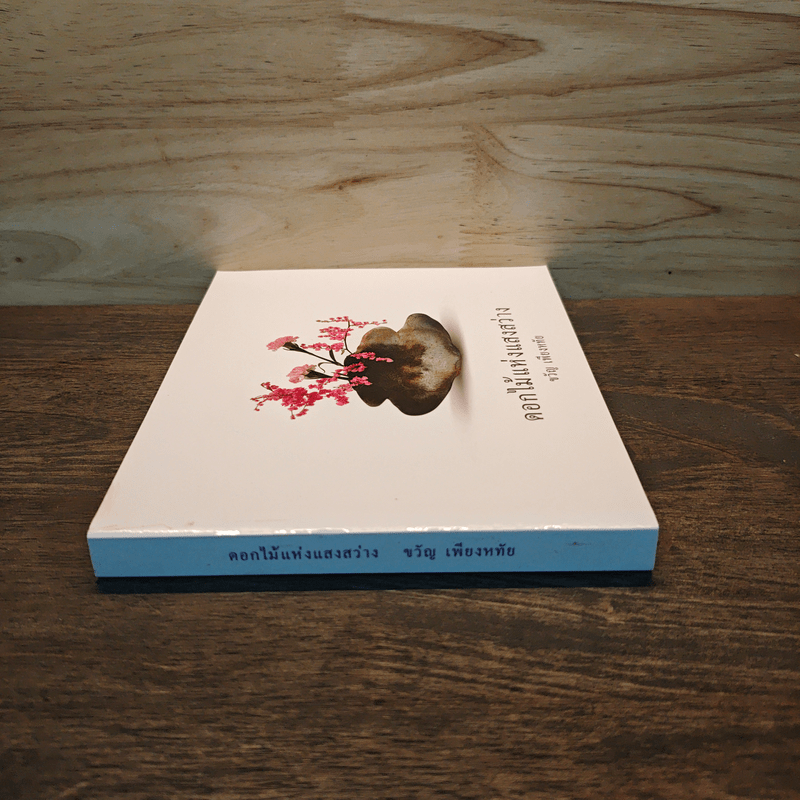 ดอกไม้แห่งแสงสว่าง - ขวัญ เพียงหทัย