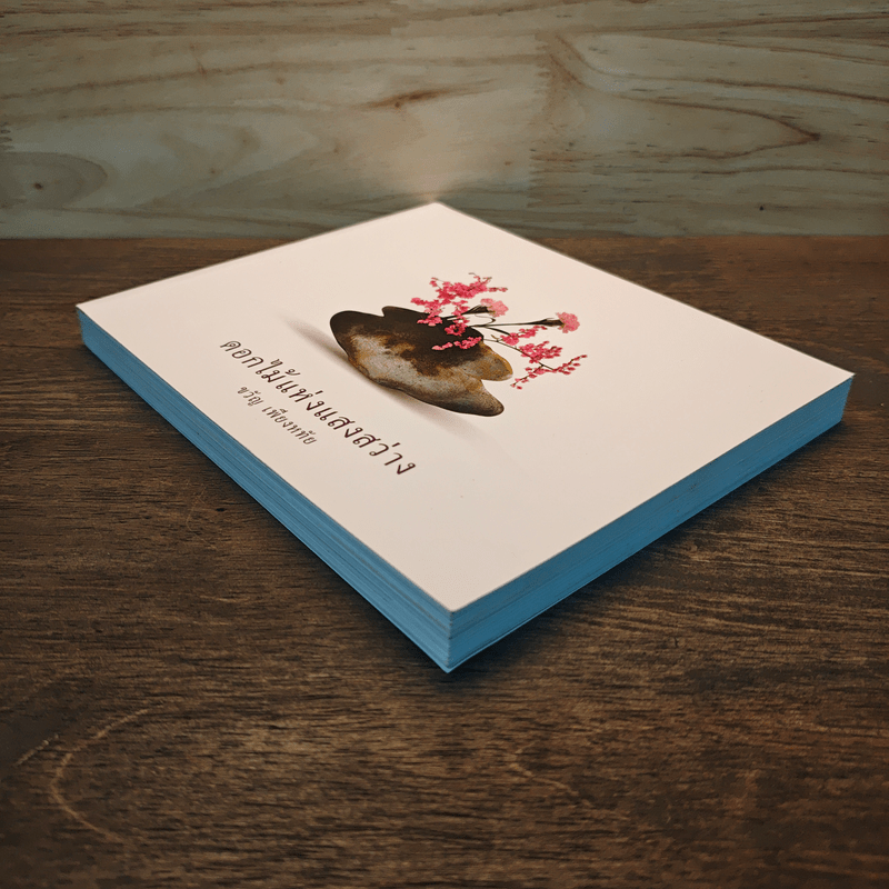 ดอกไม้แห่งแสงสว่าง - ขวัญ เพียงหทัย