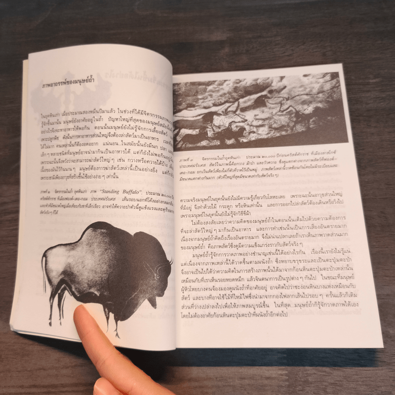 ประวัติจิตรกรรม - กระทรวงศึกษาธิการ