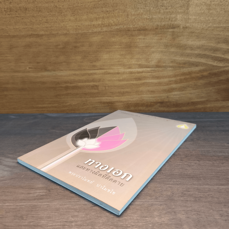 ทางเอกและทางผิดที่ติดตาย - พระปราโมทย์ ปาโมชโช