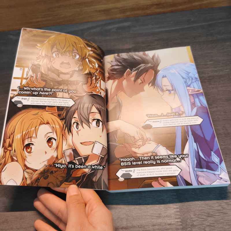 Sword Art Online Light Novel Volume 22 - Reki Kawahara