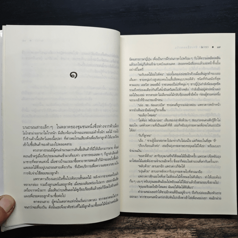 รอยรักหักเหลี่ยมตะวัน - ณารา