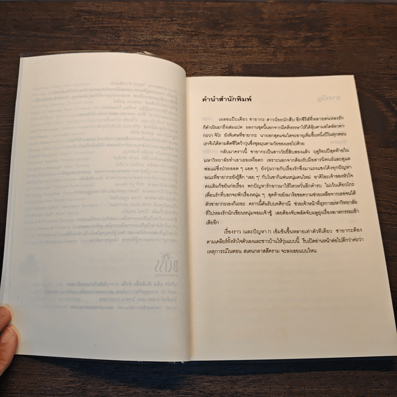 ซายากะ สาวน้อยนักสืบ 8 ตอน สเตนกลาสสีคราม