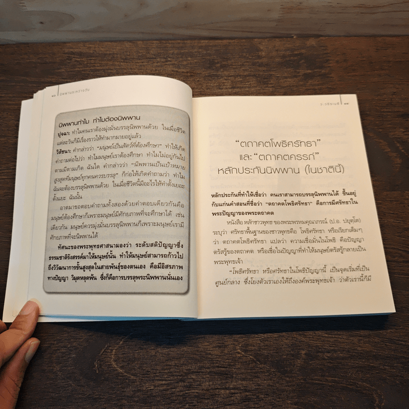 นิพพานระหว่างวัน - ว.วชิรเมธี