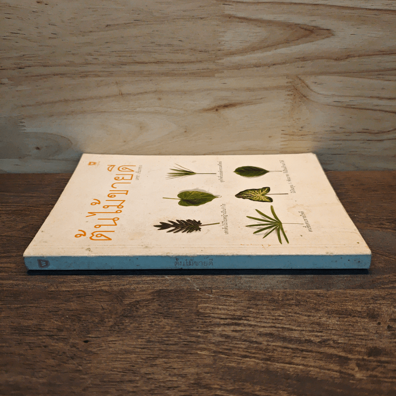 ต้นไม้ขายดี - เดชา เข็มทอง