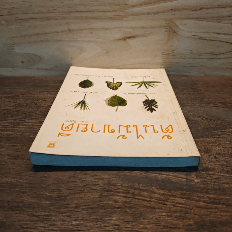 ต้นไม้ขายดี - เดชา เข็มทอง