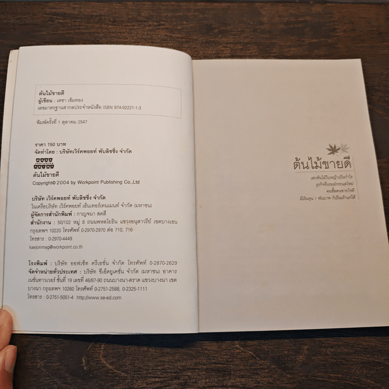 ต้นไม้ขายดี - เดชา เข็มทอง