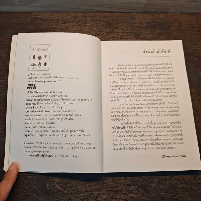 ต้นไม้ขายดี - เดชา เข็มทอง