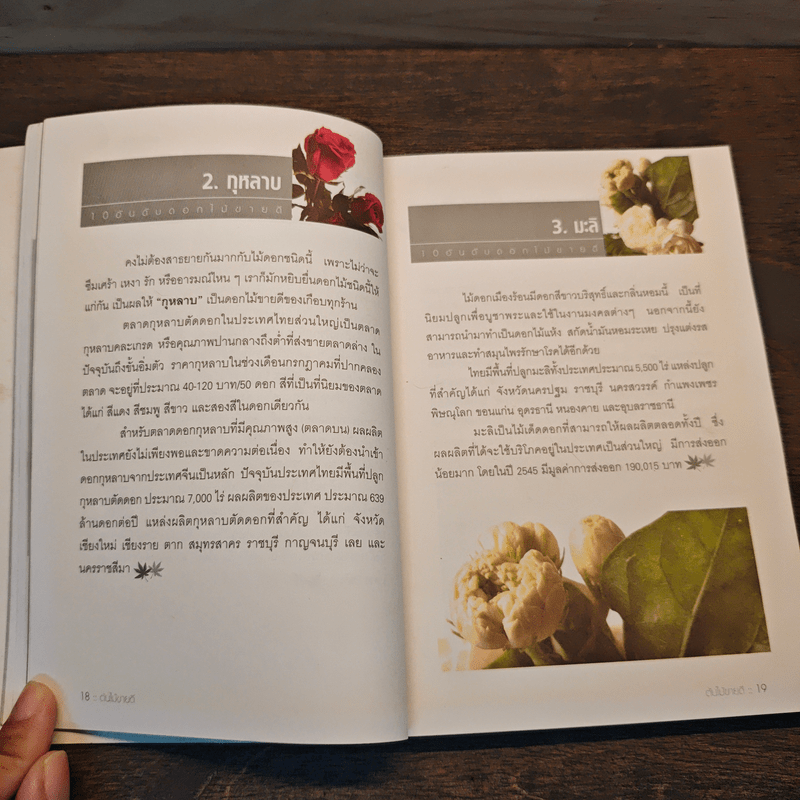 ต้นไม้ขายดี - เดชา เข็มทอง