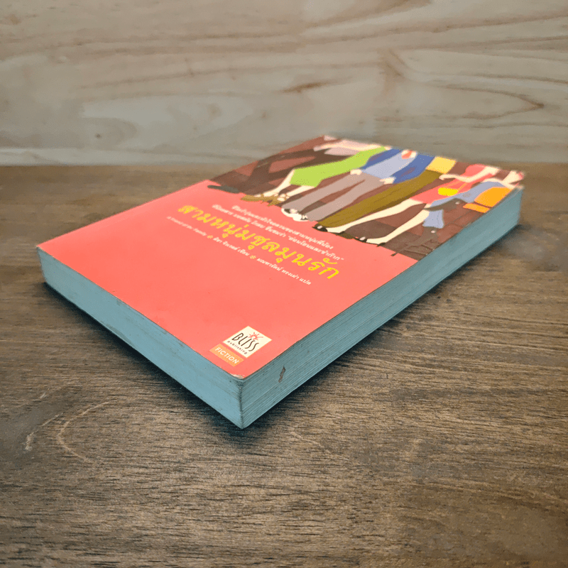 สามหนุ่มชุลมุนรัก