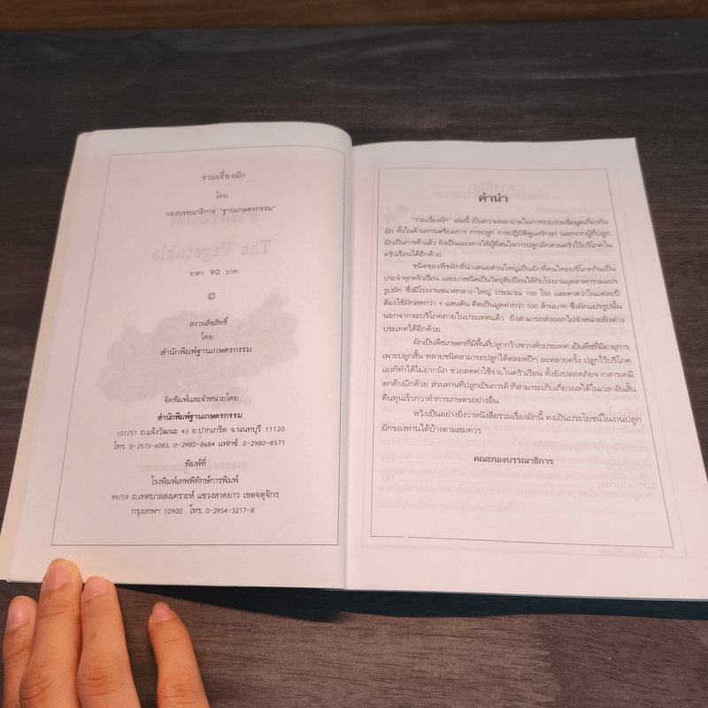 รวมเรื่องผัก THE VEGETABLES