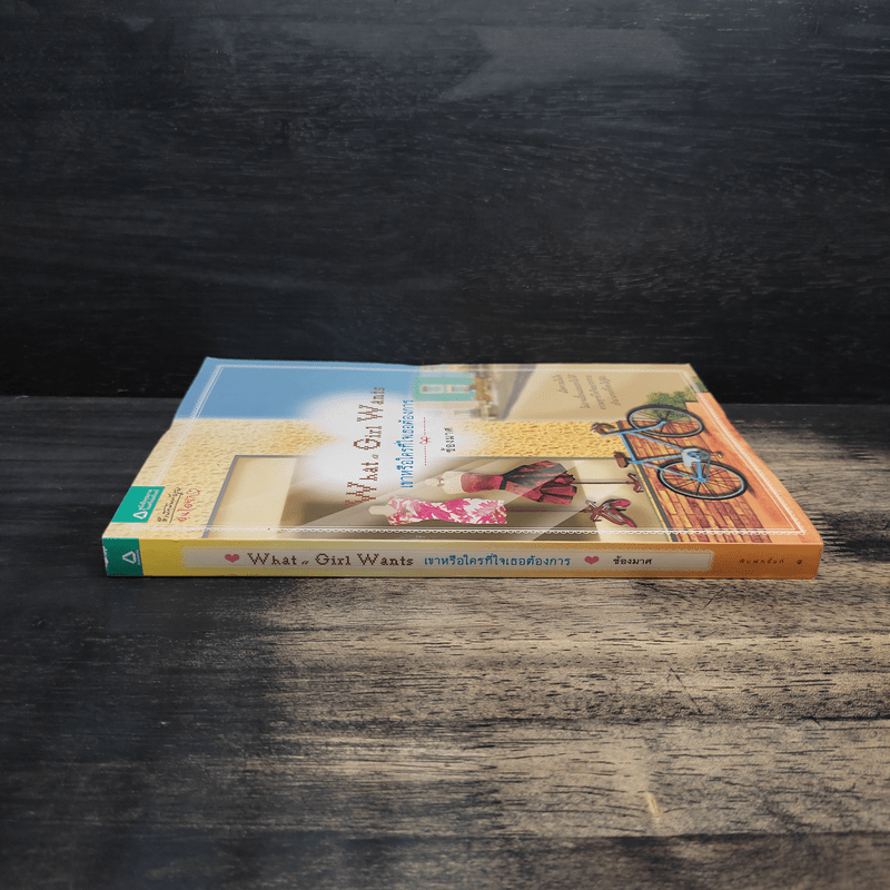 เขาหรือใครที่ใจเธอต้องการ - ช้องมาศ