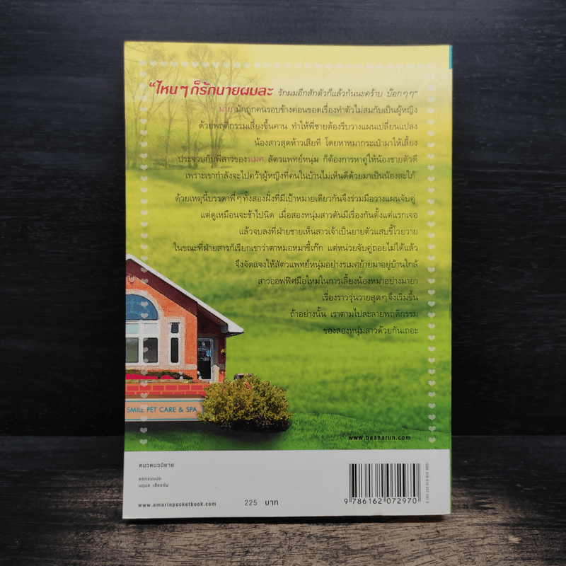 ฝากรักไว้ข้างบ้าน - เบญจามินทร์