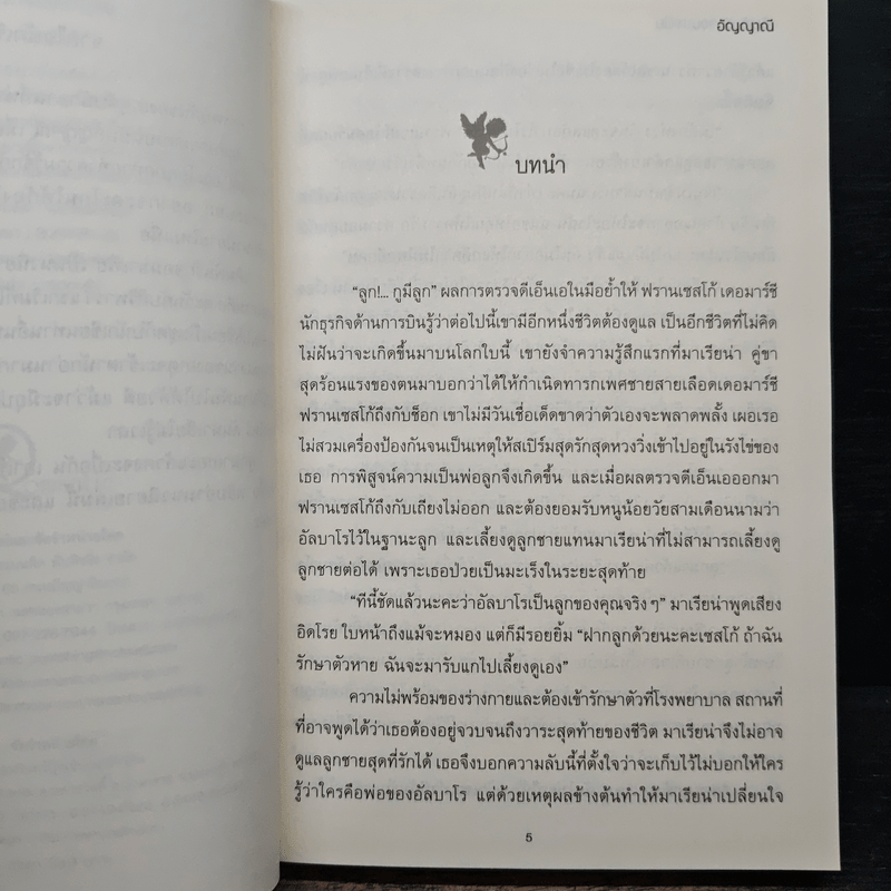 เดิมพันรักจอมมาเฟีย ชุด The Bad Boy's Baby - อัญญาณี