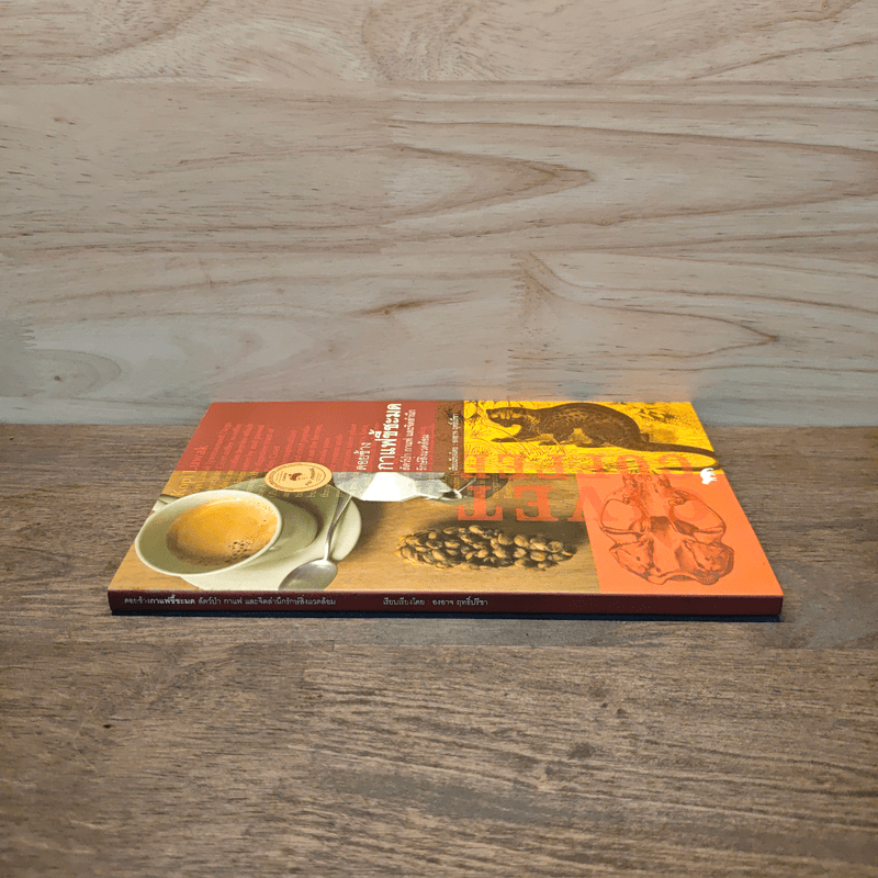 ดอยช้าง กาแฟขี้ชะมด สัตว์ป่า กาแฟ และจิตสำนึกรักษ์สิ่งแวดล้อม