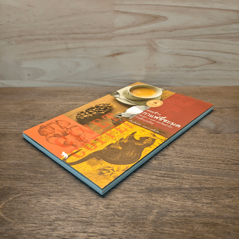 ดอยช้าง กาแฟขี้ชะมด สัตว์ป่า กาแฟ และจิตสำนึกรักษ์สิ่งแวดล้อม