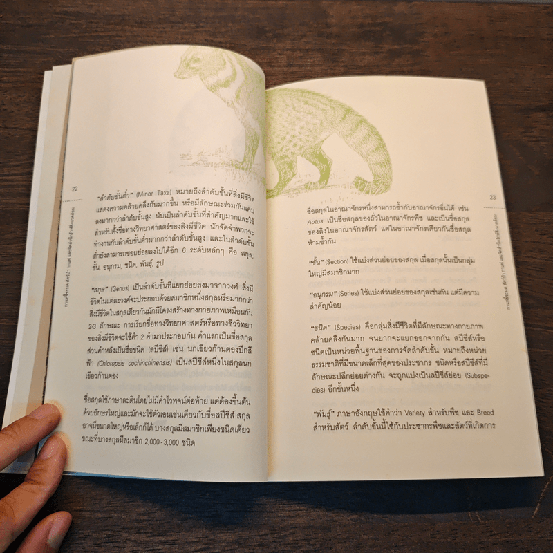 ดอยช้าง กาแฟขี้ชะมด สัตว์ป่า กาแฟ และจิตสำนึกรักษ์สิ่งแวดล้อม