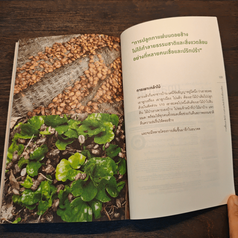 ดอยช้าง กาแฟขี้ชะมด สัตว์ป่า กาแฟ และจิตสำนึกรักษ์สิ่งแวดล้อม