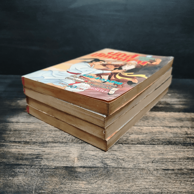 นักสู้กู้แผ่นดิน 4 เล่มจบ - น.นพรัตน์