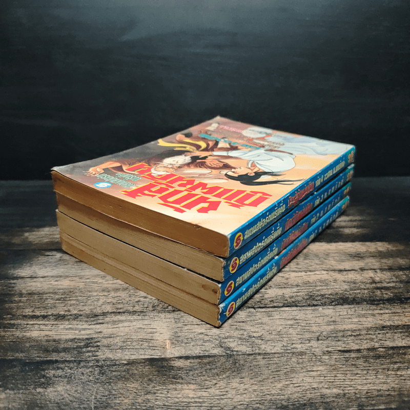 นักสู้กู้แผ่นดิน 4 เล่มจบ - น.นพรัตน์