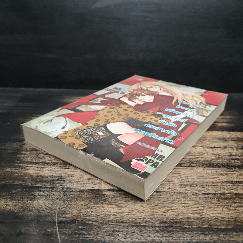 Playboy Beast แร็พเปอร์สุดซ่าส์ท้ารักกระชากใจนายเสือดาว - เจ้าหญิงผู้เลอโฉม