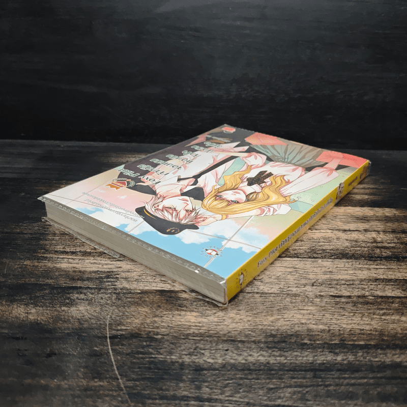 Foxy Pilot เจ้าหญิงจอมแสบแอบชิงหัวใจนักบินขี้เบื่อ - เจ้าหญิงผู้เลอโฉม