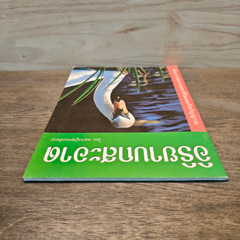 อิริยาบถสะอาด - หลวงปู่พุทธะอิสระ