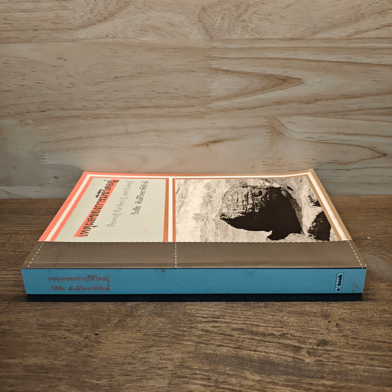 เหตุผลของการมีชีวิตอยู่ - วันชัย ตันติวิทยาพิทักษ์