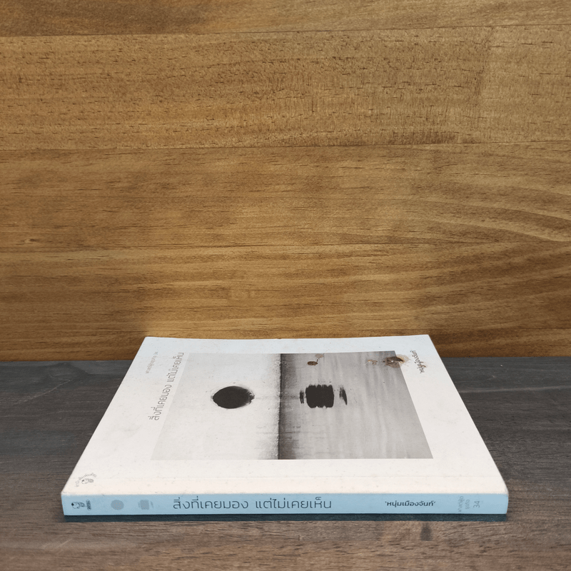 สิ่งที่เคยมอง แต่ไม่เคยเห็น - หนุ่มเมืองจันท์