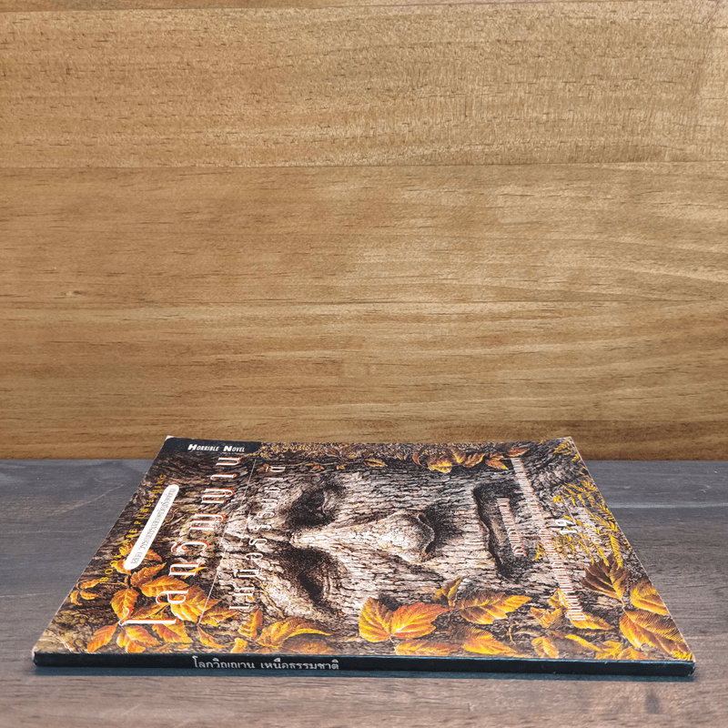 โลกวิญญาณ เหนือธรรมชาติ