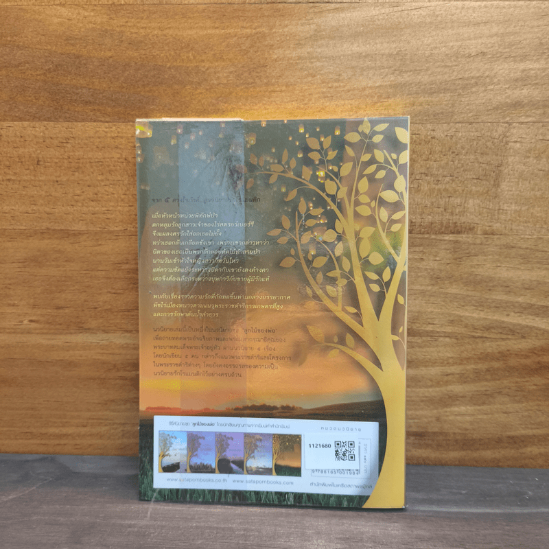 แสงดาวกลางใจ - รินท์ลภัส