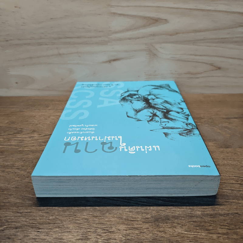 แผ่นดินฉานในม่านหมอก - พันเอกเจ้ายอดศึก