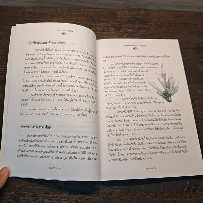 สมุนไพรจากครัวไทย - เดชา ศิริภัทร