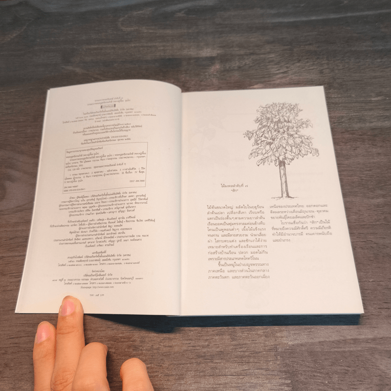 ธรรมะจาก พระครูสุทธิธรรมรังษี - หลวงปู่เจี๊ยะ จุนโท