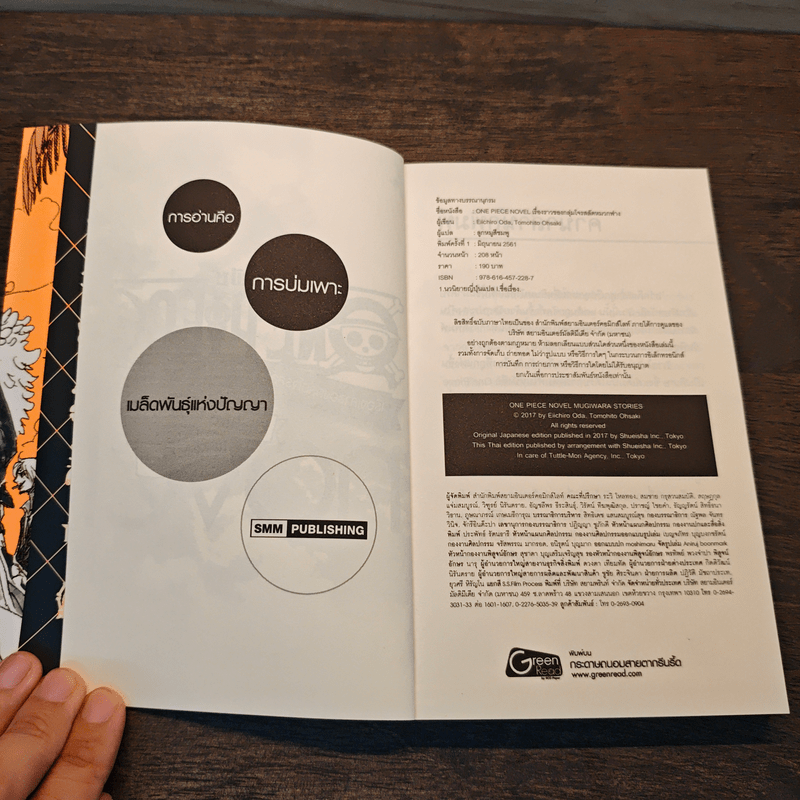 One Piece Novel เรื่องราวของกลุ่มโจรสลัดหมวกฟาง - Eiichiro Oda, Tomohito Ohsaki