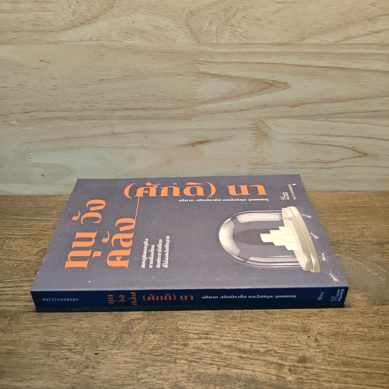 ทุน วัง คลัง (ศักดิ) นา : สมรภูมิเศรษฐกิจการเมืองไทย กับประชาธิปไตยที่ไม่ลงหลักปักฐาน