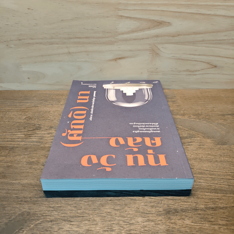 ทุน วัง คลัง (ศักดิ) นา : สมรภูมิเศรษฐกิจการเมืองไทย กับประชาธิปไตยที่ไม่ลงหลักปักฐาน