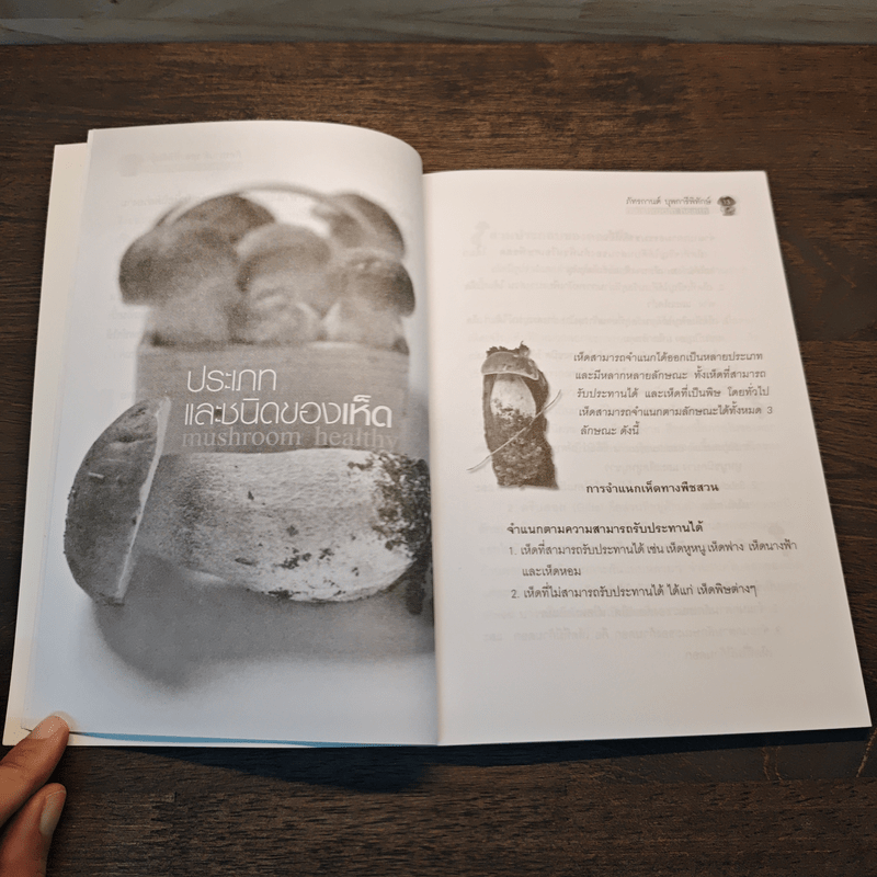 เมนูเห็ด เพื่อสุขภาพ