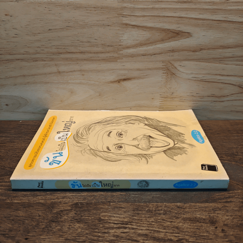 ขันไม่เป็นเป็นใหญ่ยาก - Agalico 2.2